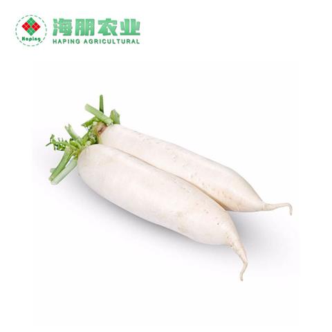 白萝卜 ￥0.88/斤